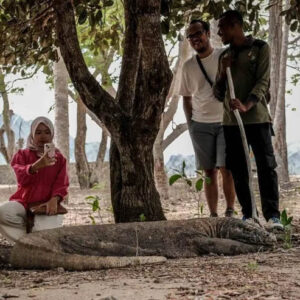 Wisata Labuan Bajo 1